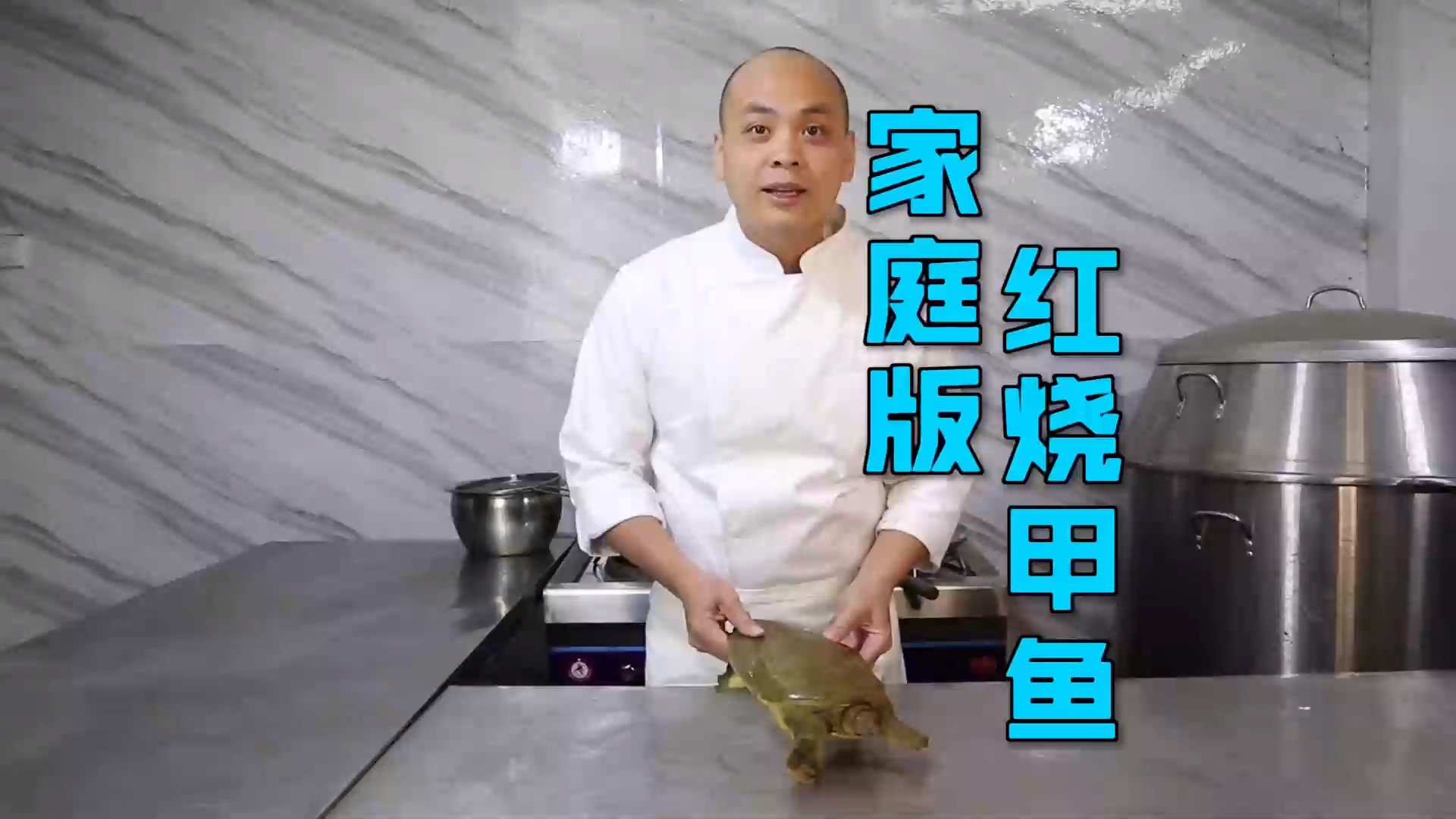 #美食#家常做法“红烧甲鱼”，用料方便制作简单，真正属于简单菜