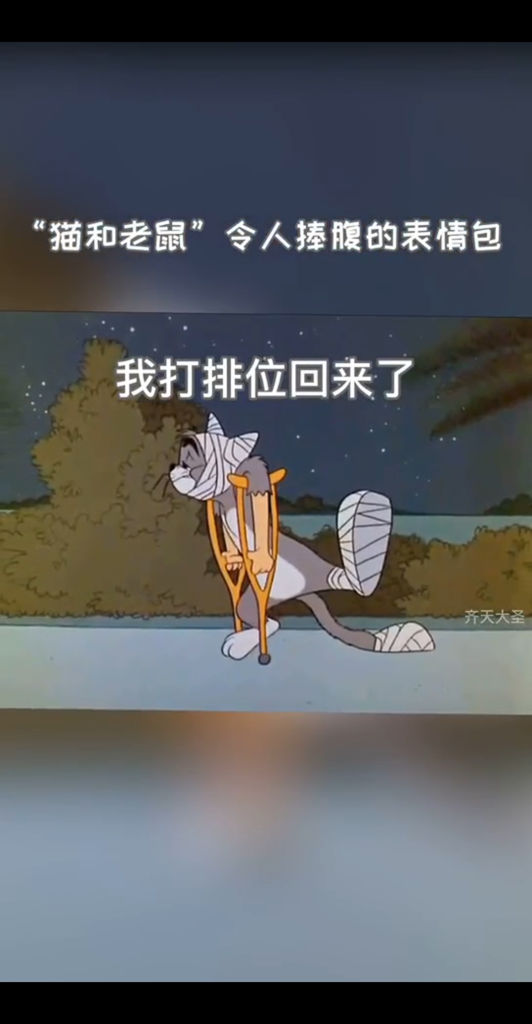 #动漫#果然性感汤姆猫不会让人失望