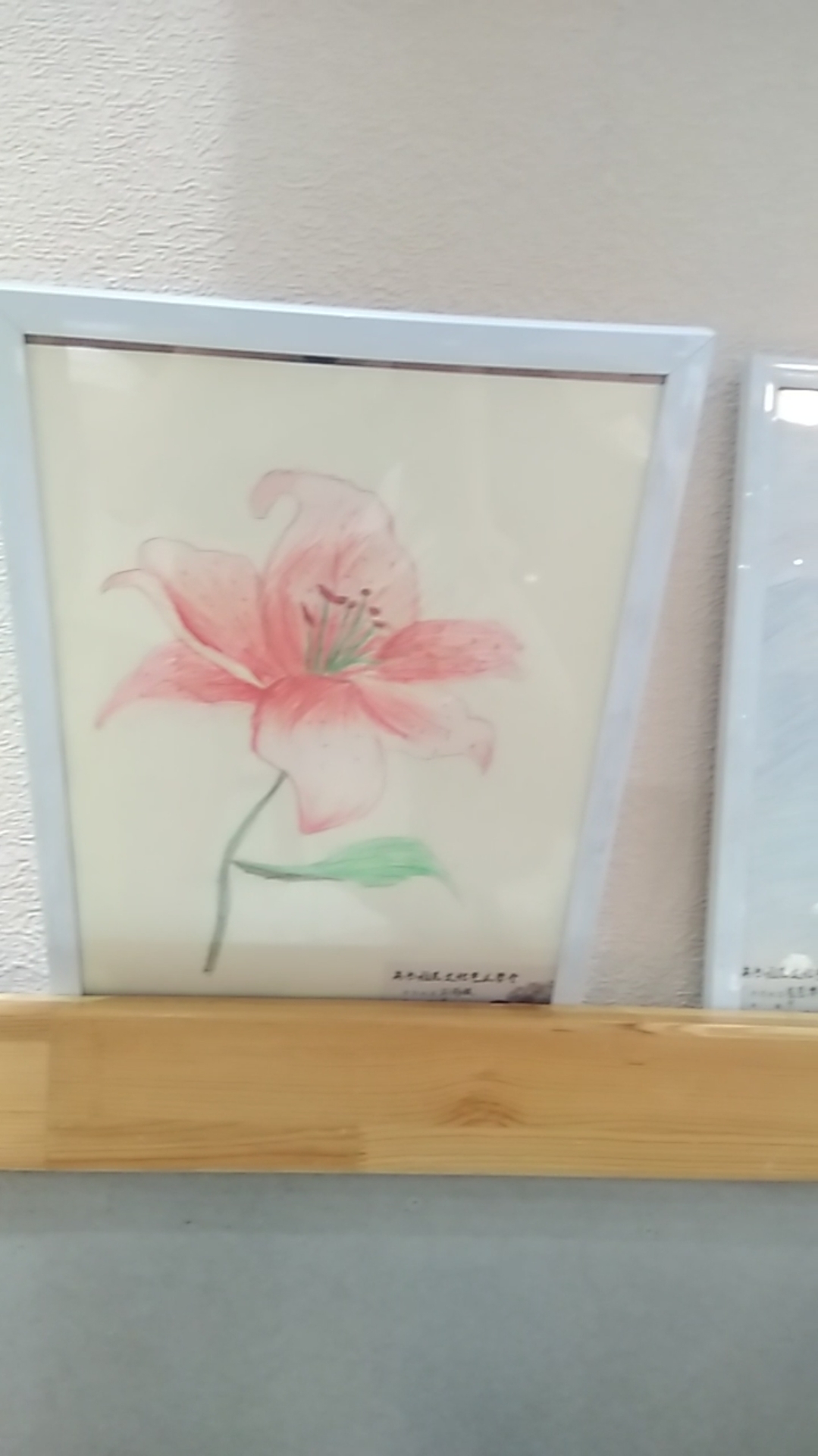 全是儿童画作品!