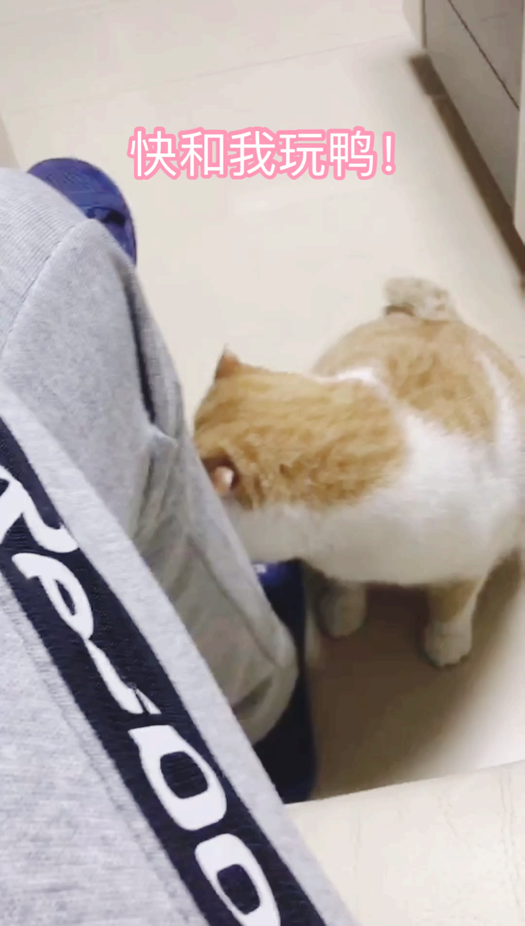 #熊孩子的日常#黏人精黏黏