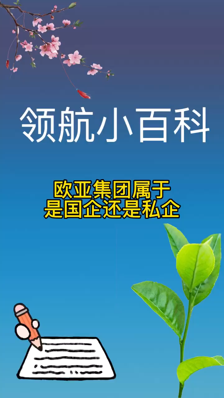 欧亚集团属于是国企还是私企