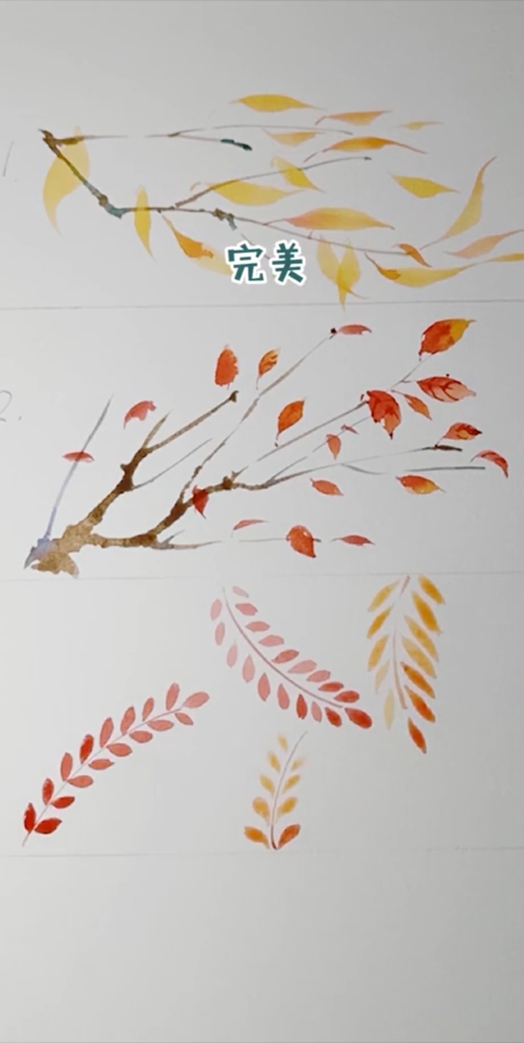 #安凉的水彩课堂 #水彩 听说有些地方已经过冬了,然而我在秋天里 