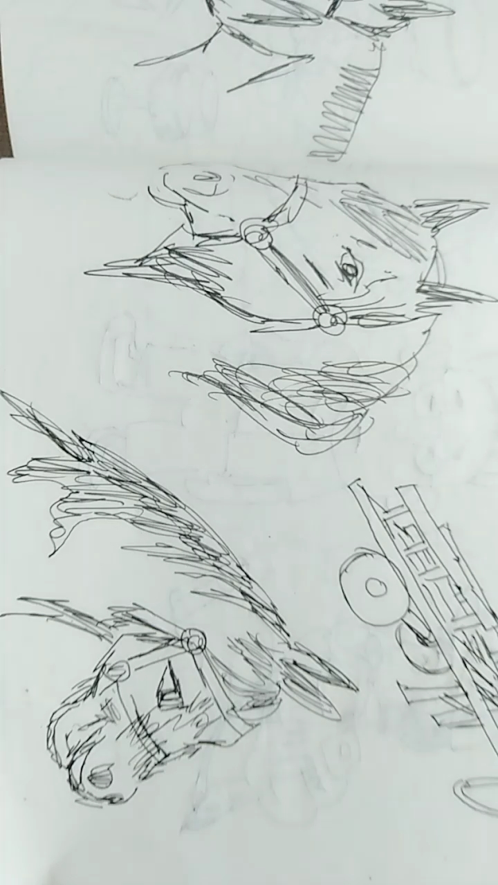 简笔画马