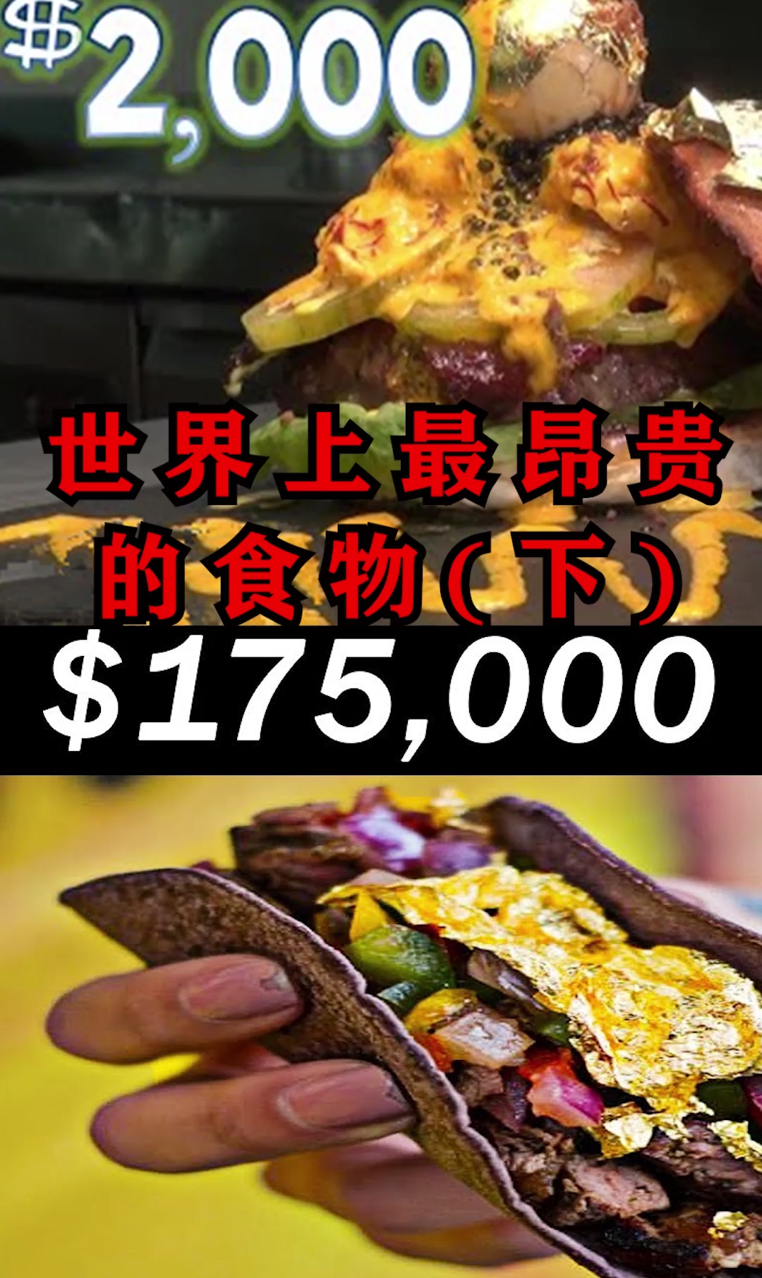 世界山最昂贵的食物!喜欢的话,就帮鱿鱼点个双击呗!