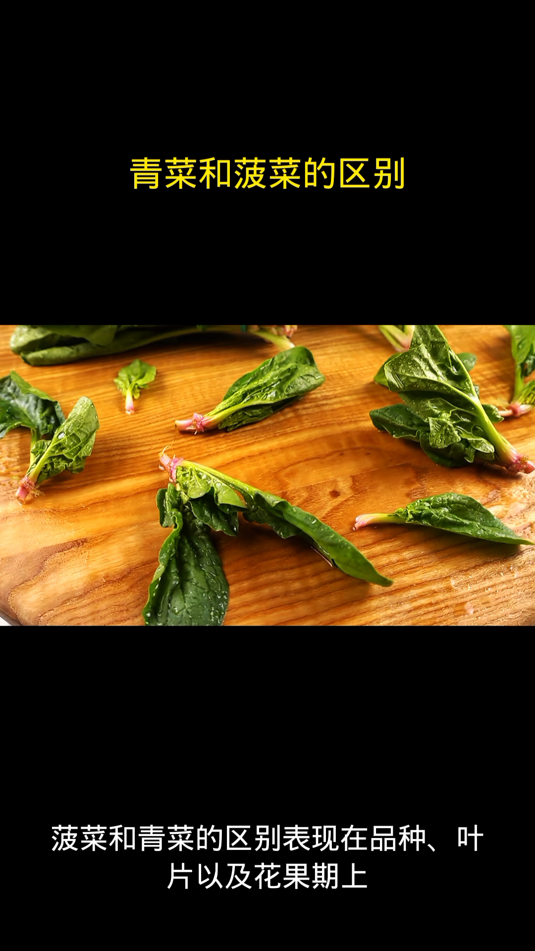 青菜和菠菜的区别