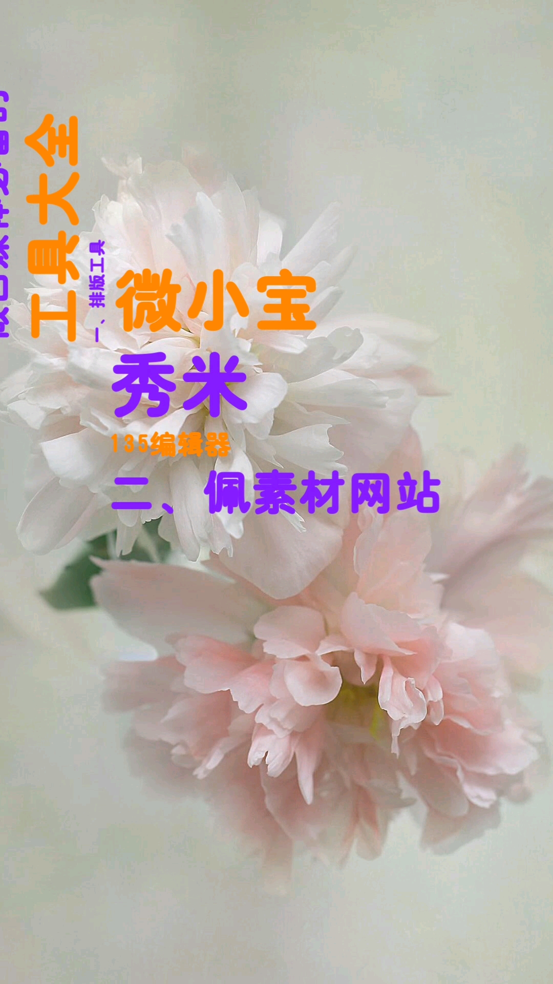 肯定有一款对你有帮助