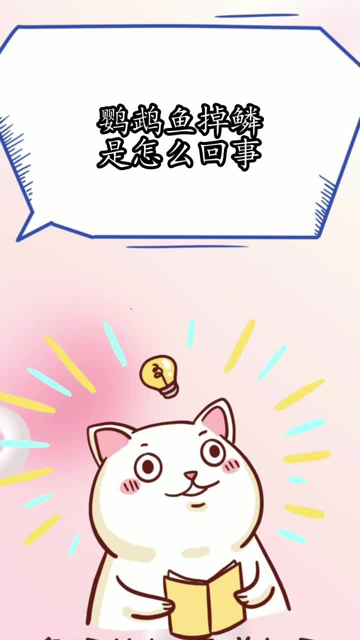 鹦鹉鱼掉鳞是怎么回事,你知晓了吗