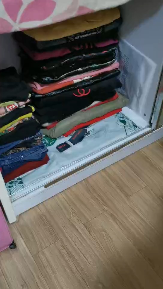 #衣鱼虫#蛀衣虫衣鱼虫怎么彻底消除干净.