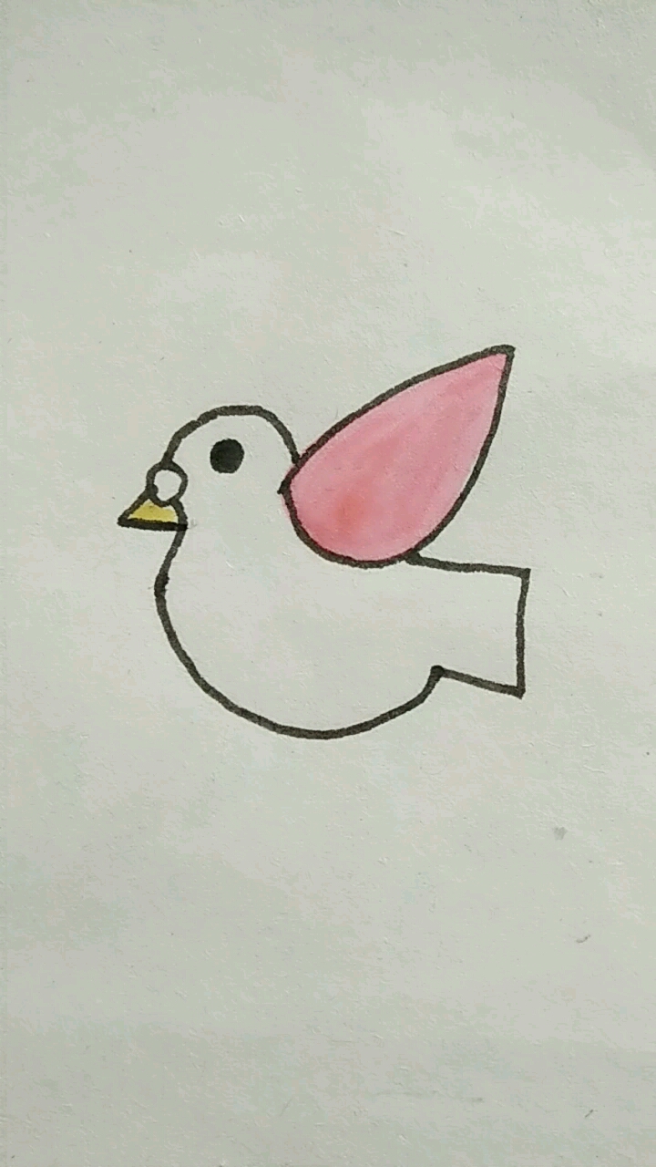 彩色鸟简笔画