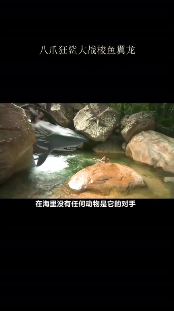 八爪狂鲨大战梭鱼翼龙第1集