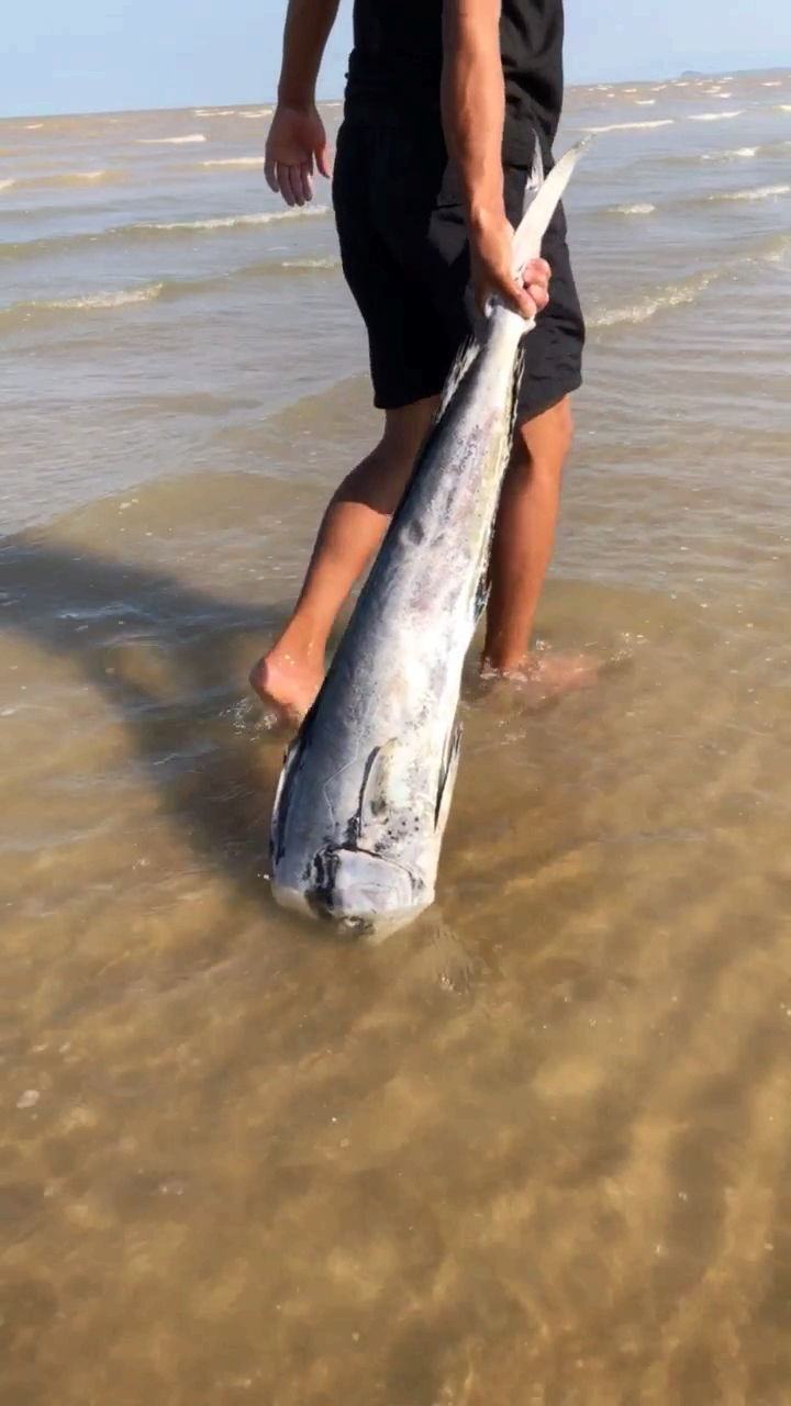 无法抢救,不如起锅烧油