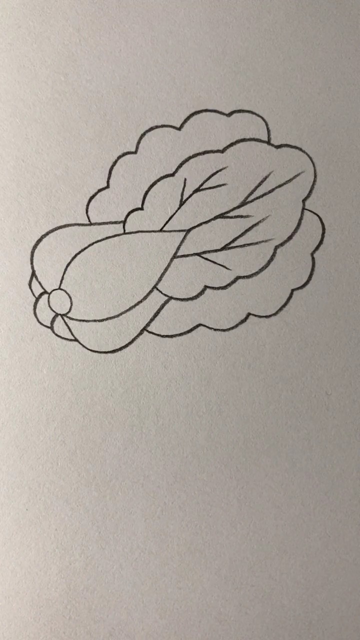 #简笔画#今天教大家一个画小白菜