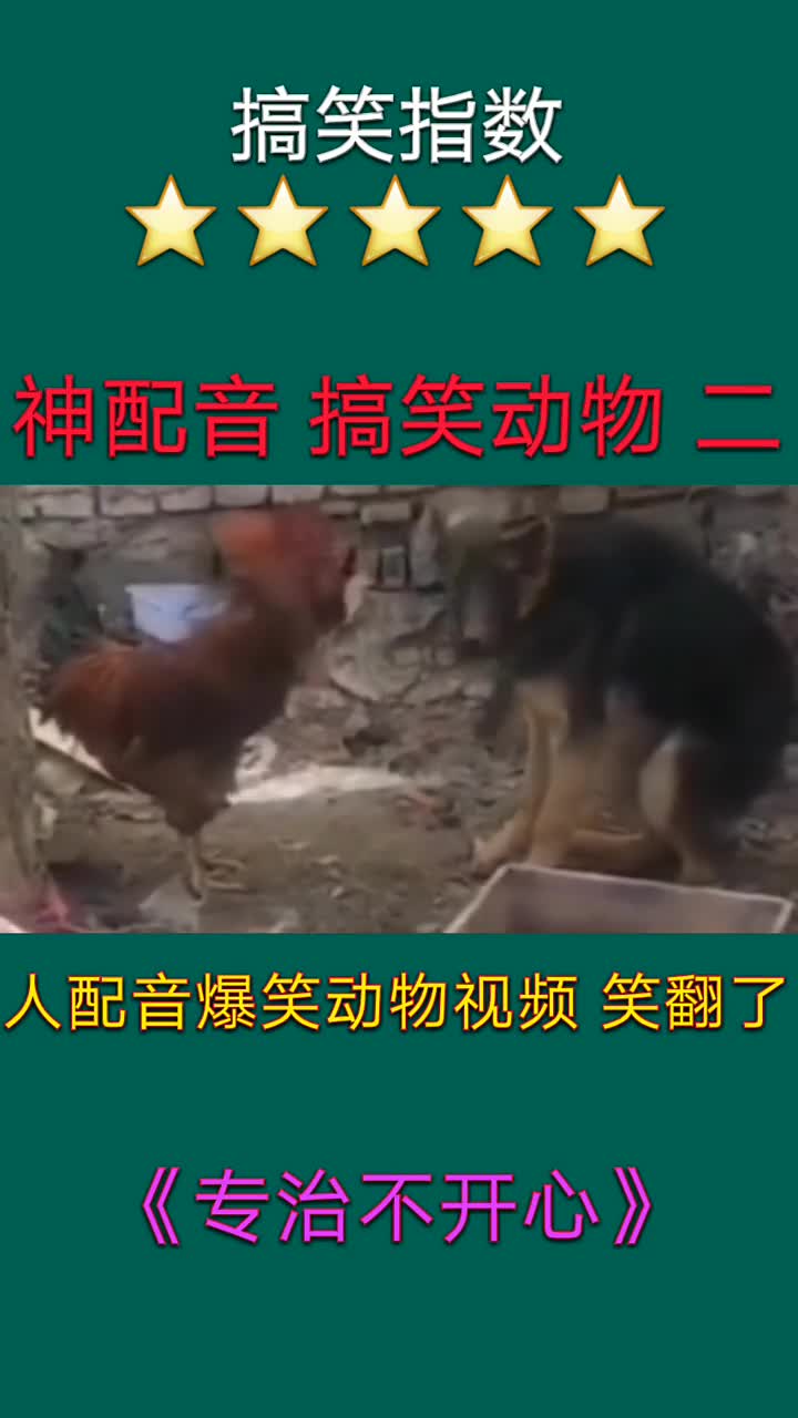 搞笑指数。神配音搞笑动物。人配音爆笑动物视频笑翻了。《专治不开心》