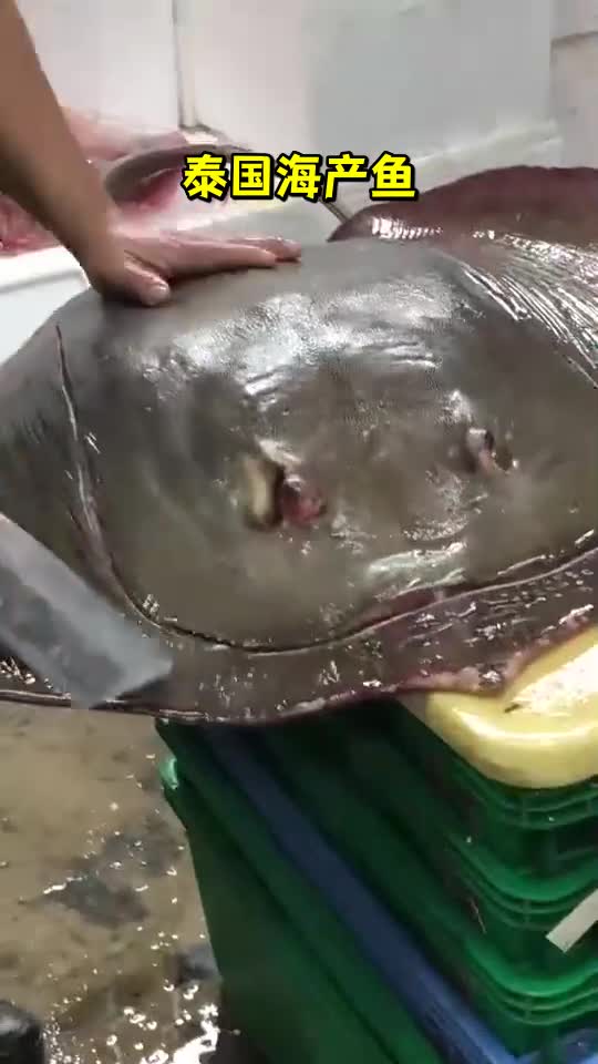 泰国海产鱼