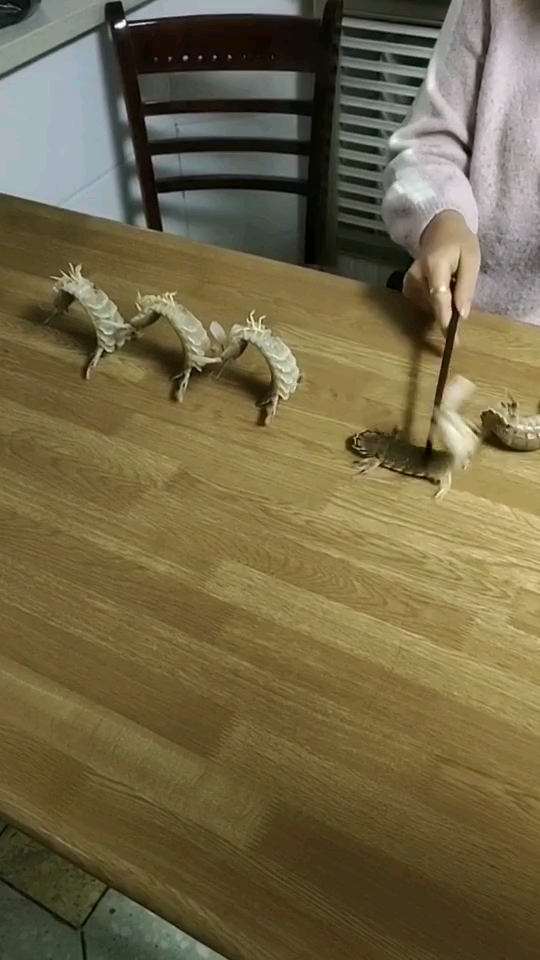 皮皮虾我们走