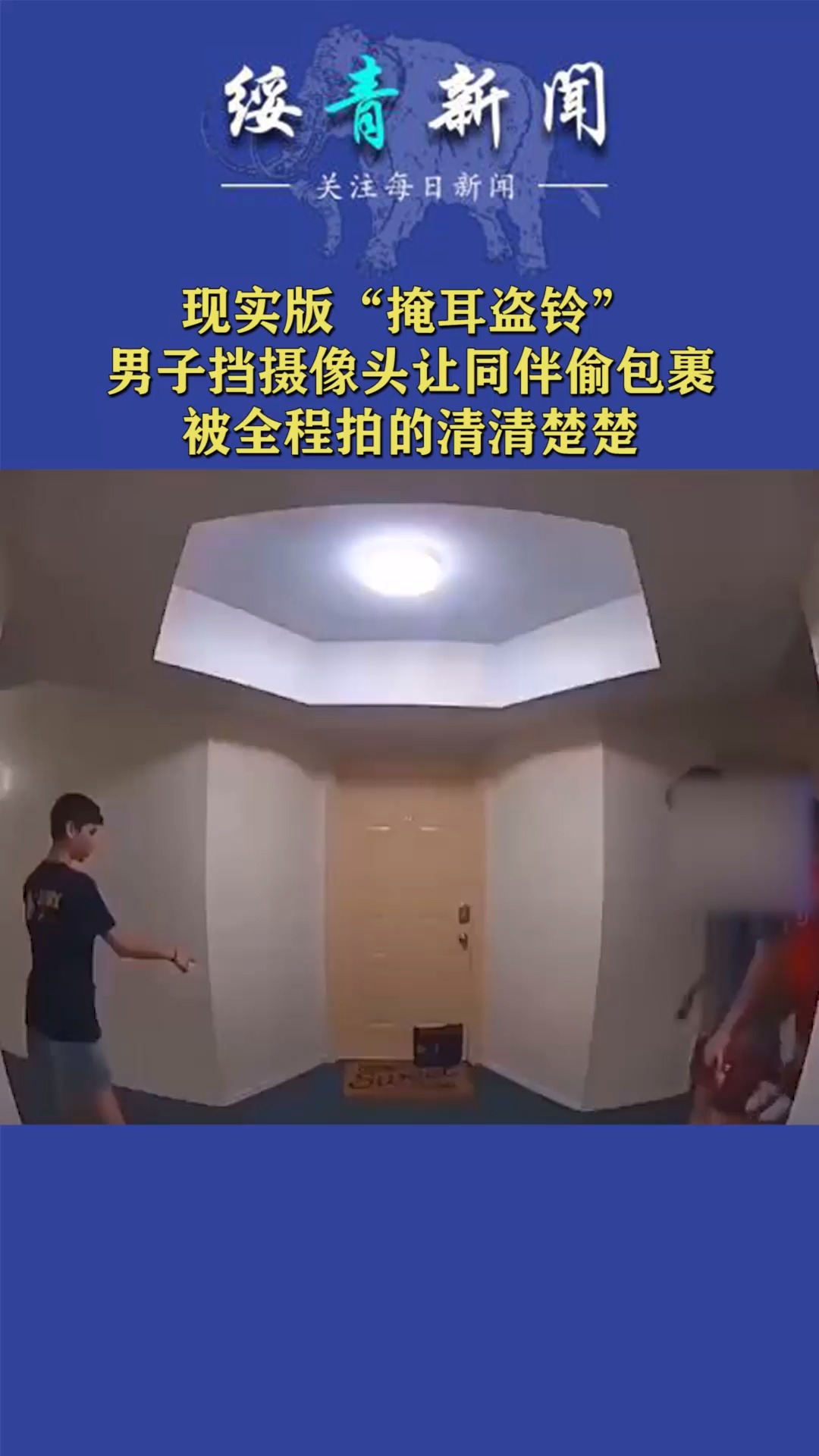 #奇怪的知识增加了#现实版的“掩耳盗铃”,男子遮挡摄像头偷盗包裹,被监控记录全过程