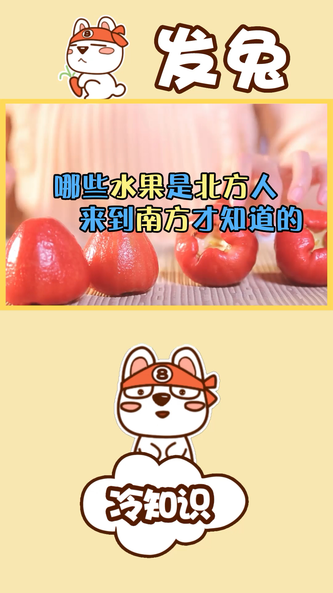 有哪些水果是北方人来到南方才知道的?