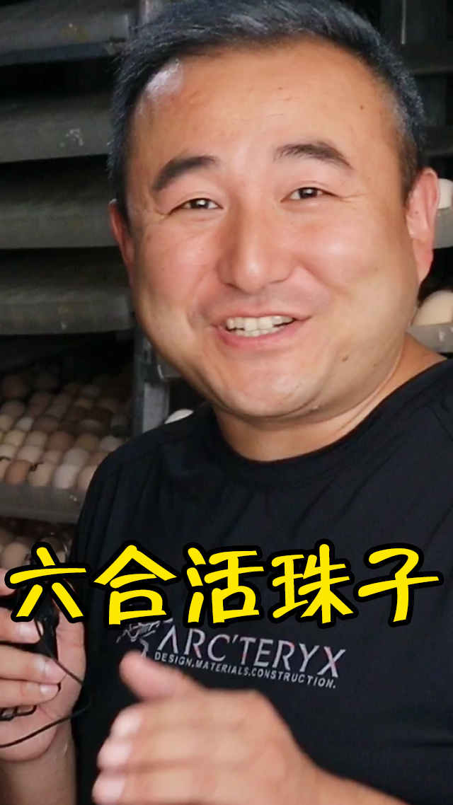 #美食探店#在孵小鸡的炕房买南京六合特产活珠子，1块3一个，买了300个