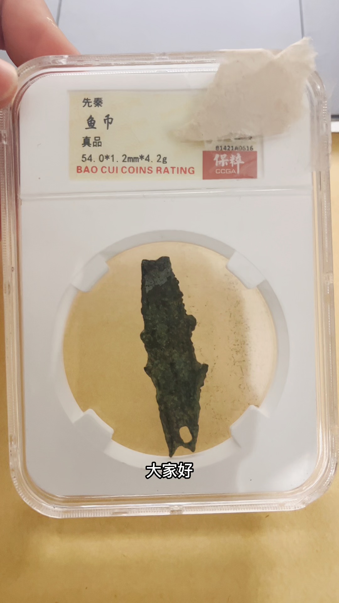 #全民收藏家#鱼币你见过吗?鱼币是货币吗?现在值钱