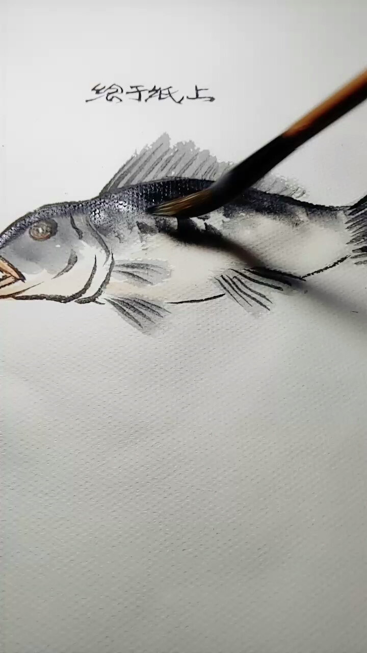 国画写意鱼画法
