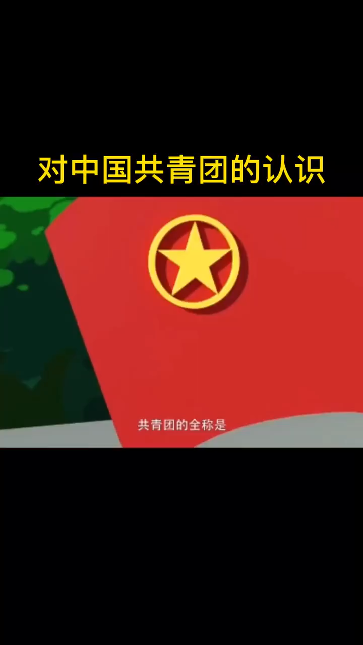 对中国共青团的认识 