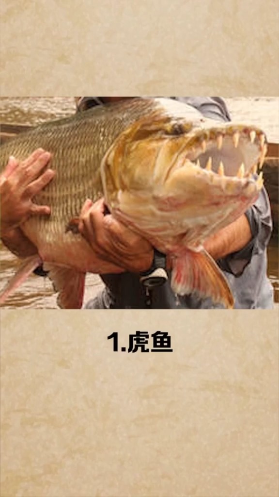 #奇闻趣事抢先看#真是不看不知道一看吓一跳!