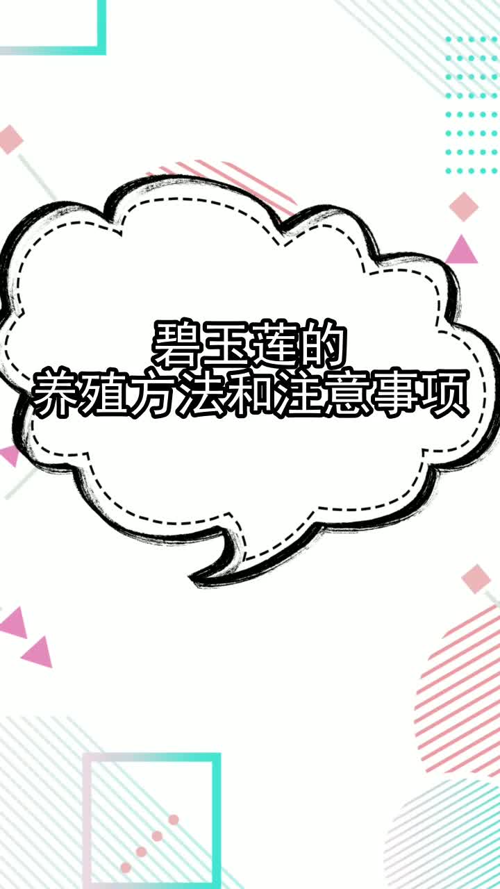 碧玉莲的养殖方法和注意事项,你看懂了吗