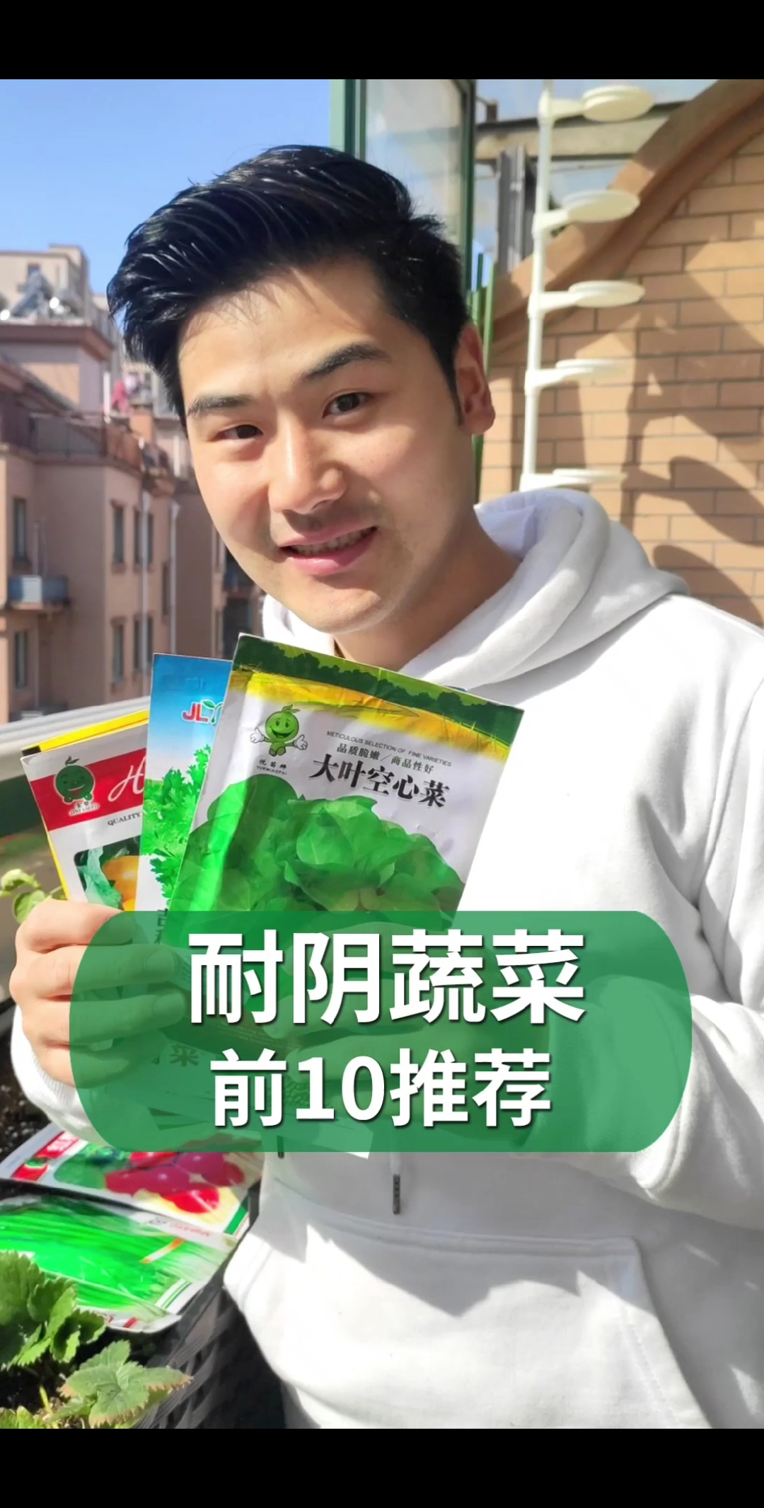 #好物推荐#这些蔬菜阳光不好也能种