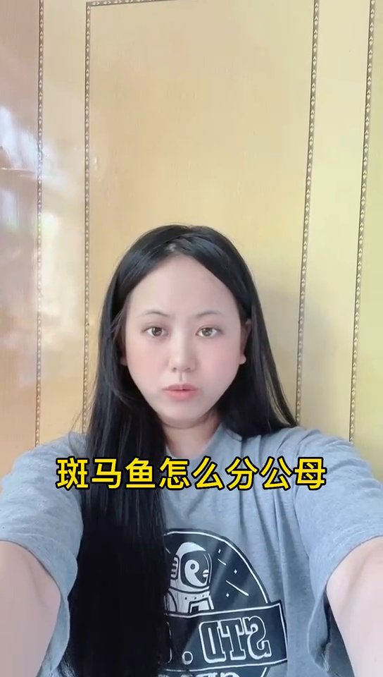 斑马鱼怎么分公母