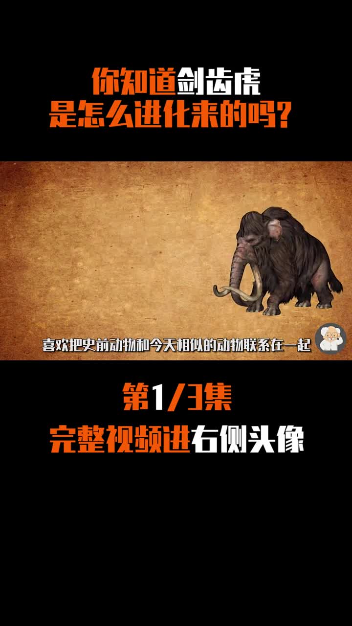 你知道剑齿虎是怎么进化来的吗?