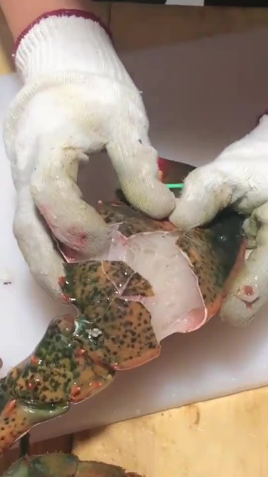 土豪专属疑问——带钳子的龙虾和不带钳子的龙虾哪一个更贵呢