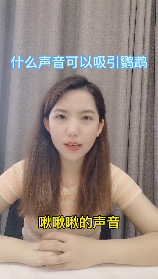 什么声音可以吸引鹦鹉 