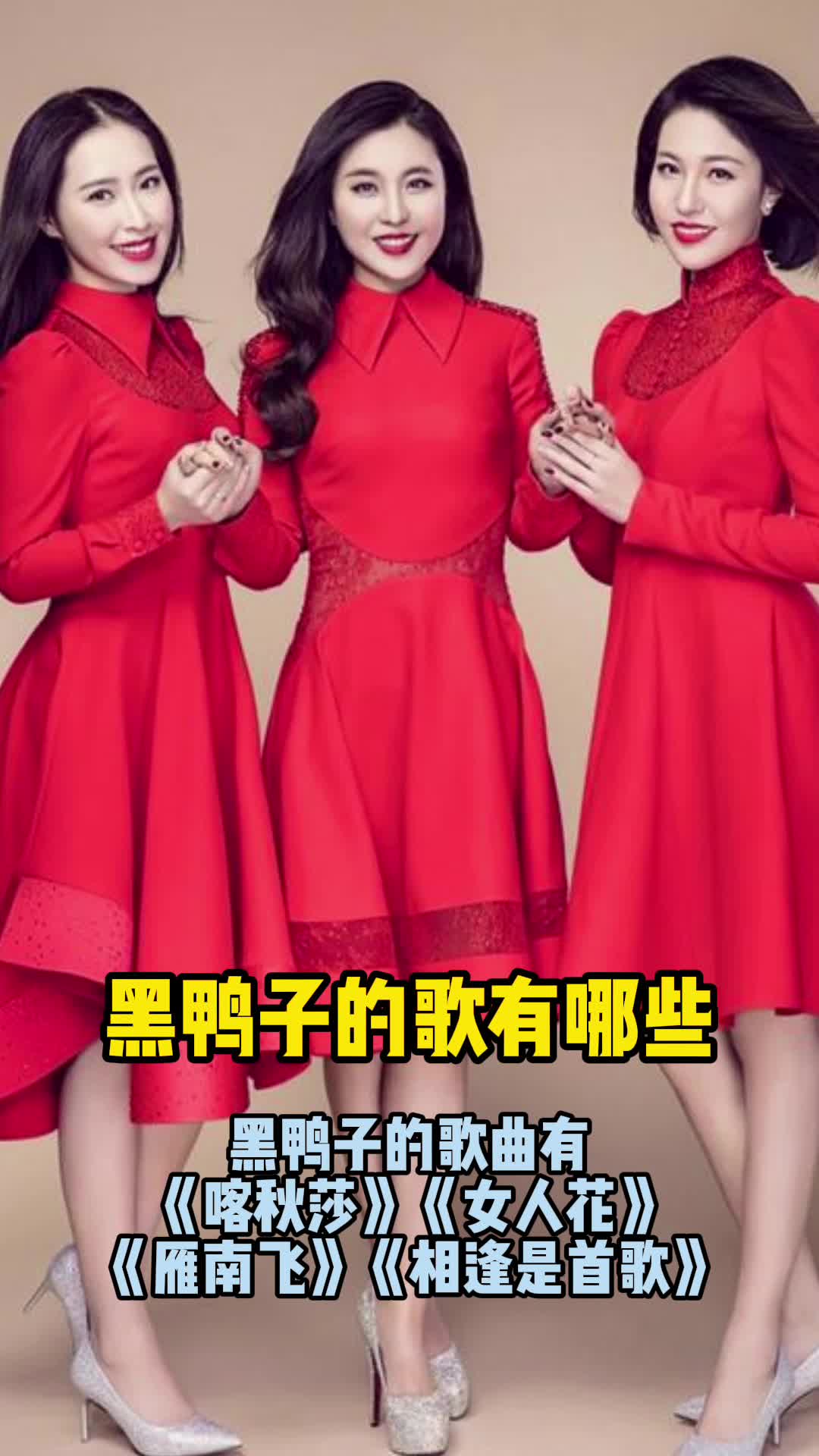 黑鸭子的歌有哪些,你知道了吗