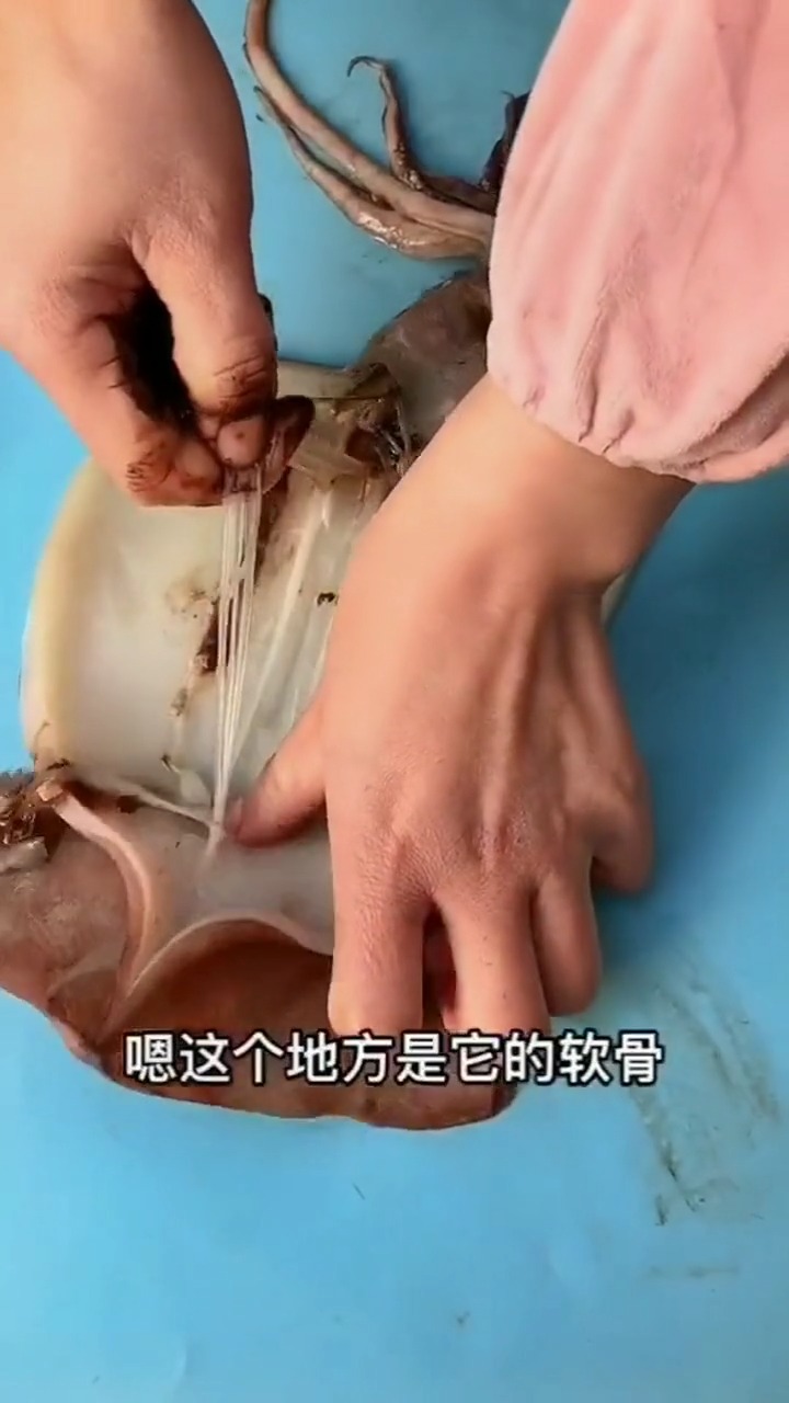 鱿鱼怎么处理