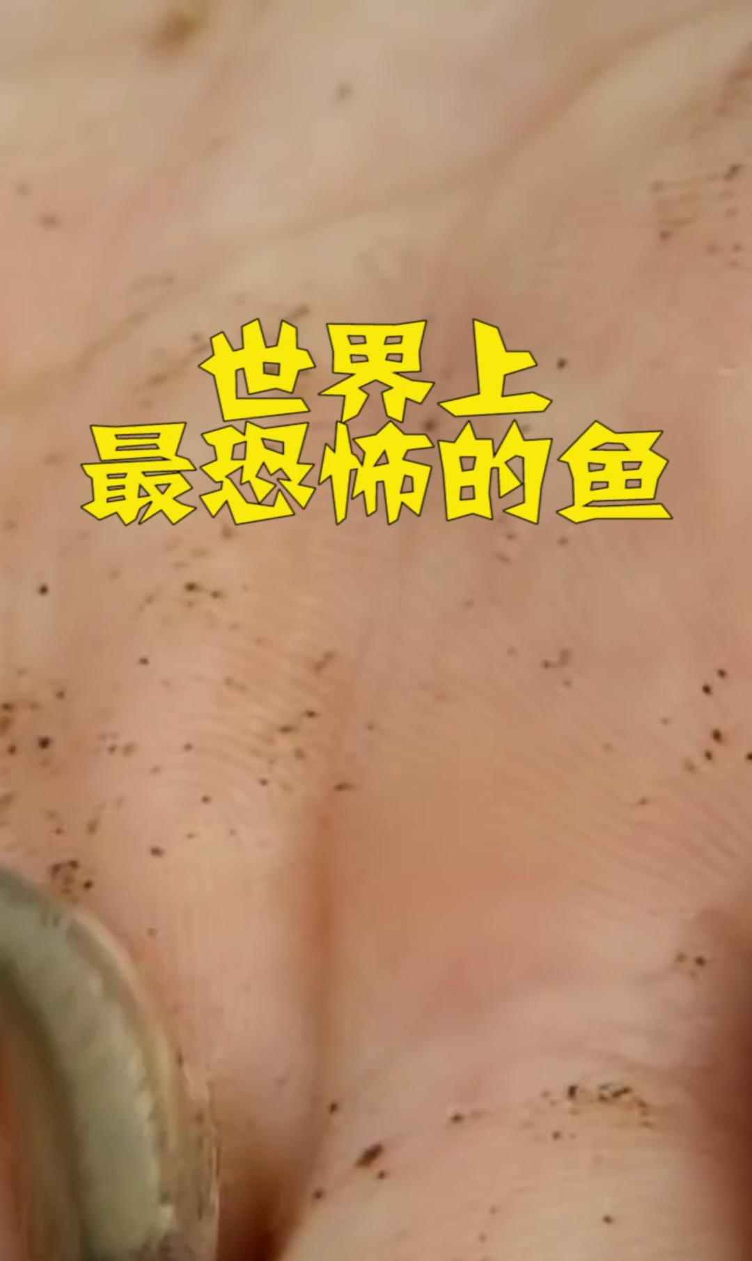 世界上最恐怖的鱼