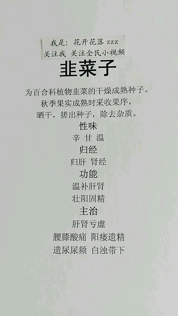 #我的私藏景点#韭菜子的功效