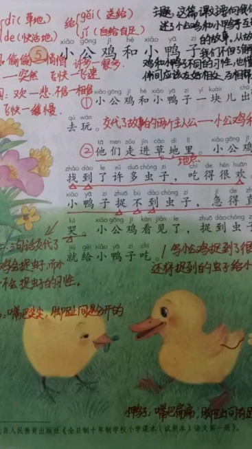 #新年游记#一年级下册语文《小公鸡和小鸭子》详细笔记预告