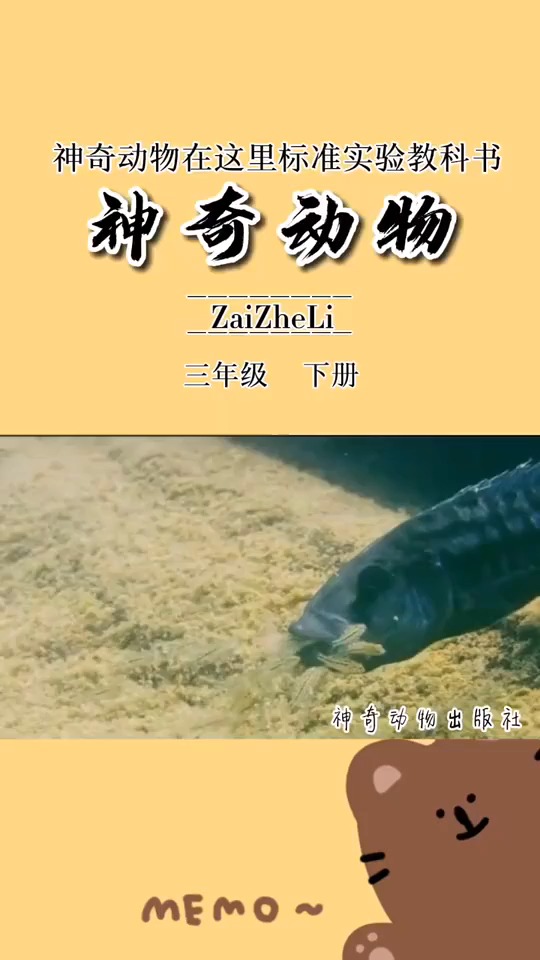 我是不会相信鱼只有七秒记忆的