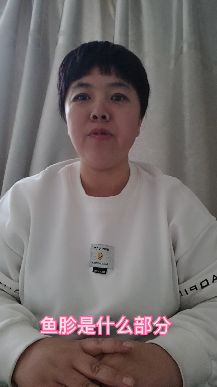 鱼胗是什么部分  