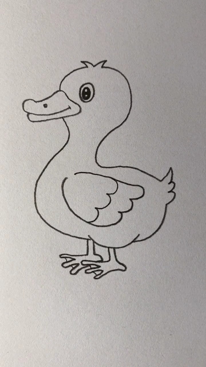 #简笔画#画一只壮实的小鸭子
