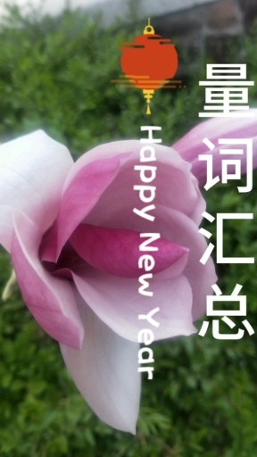 #感谢官方给的每一个热门#二年级下册语文重点掌握量词汇总