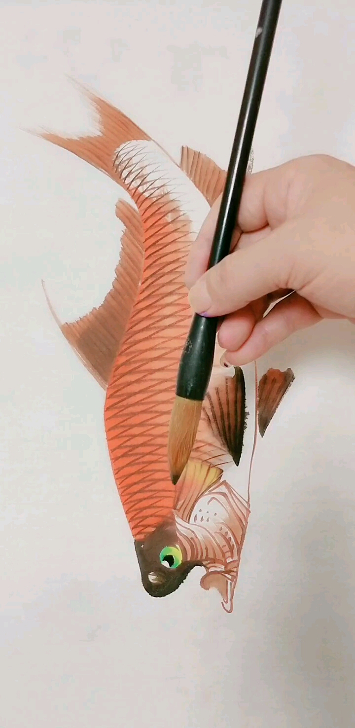#我要上热门#罗汉鱼的画法