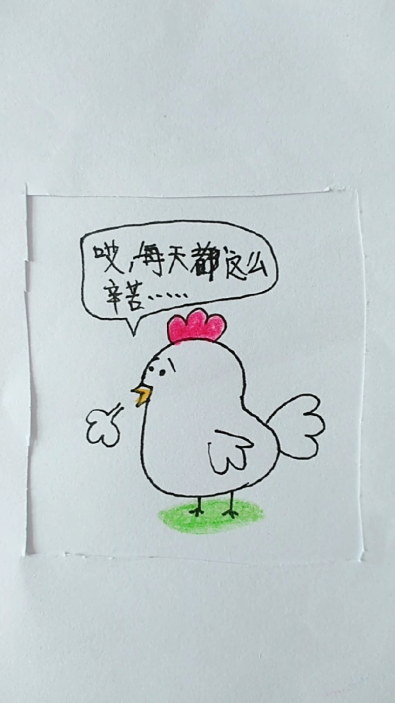 有关一只小公鸡的漫画