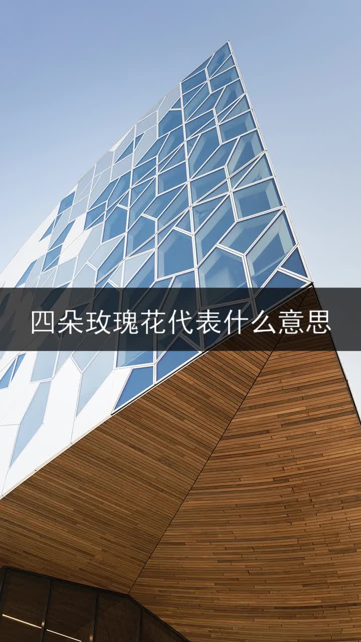 四朵玫瑰花代表什么意思