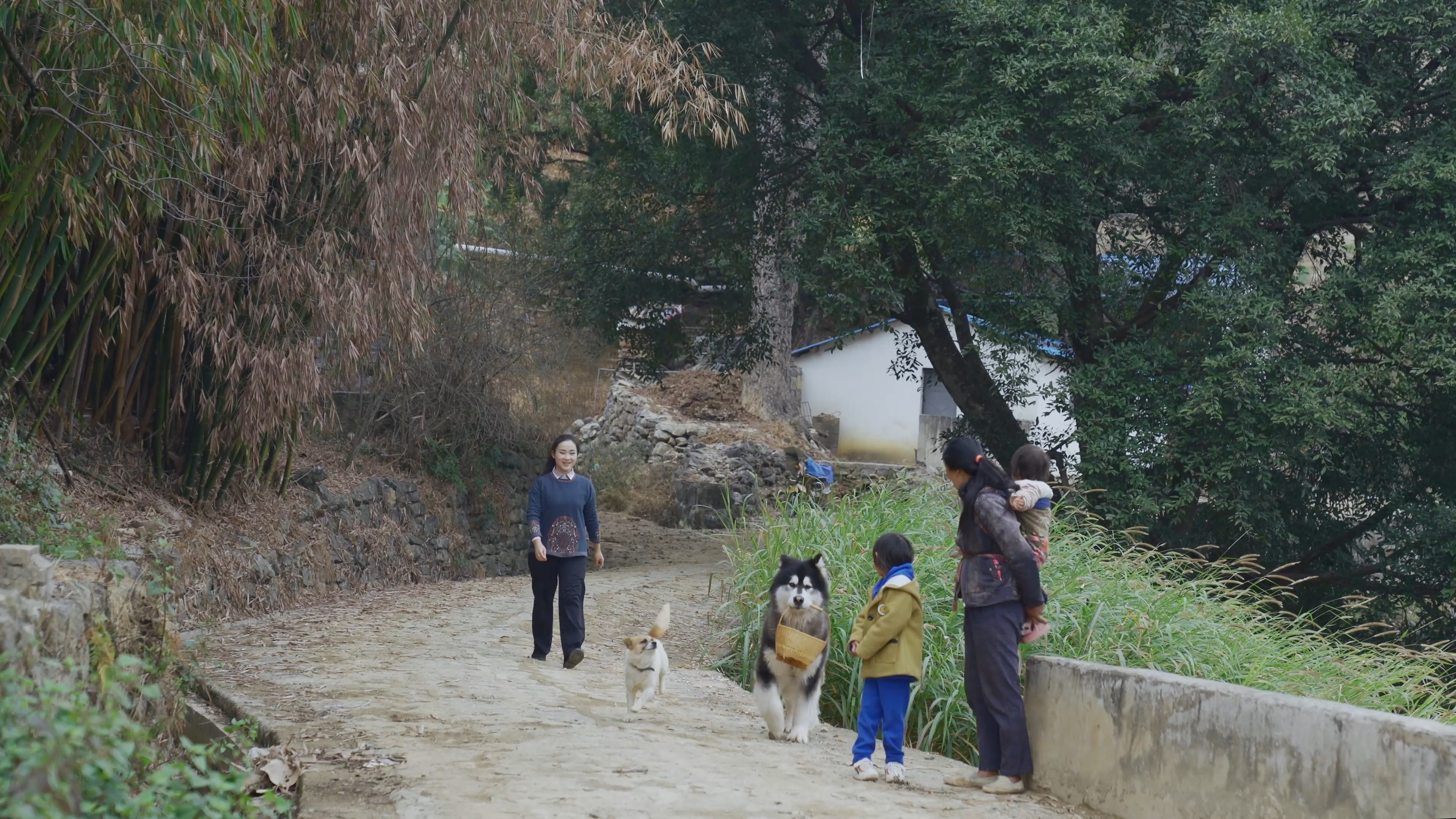 自制牛干巴,先蒸再炸,牛肉的香味全都散发出来了