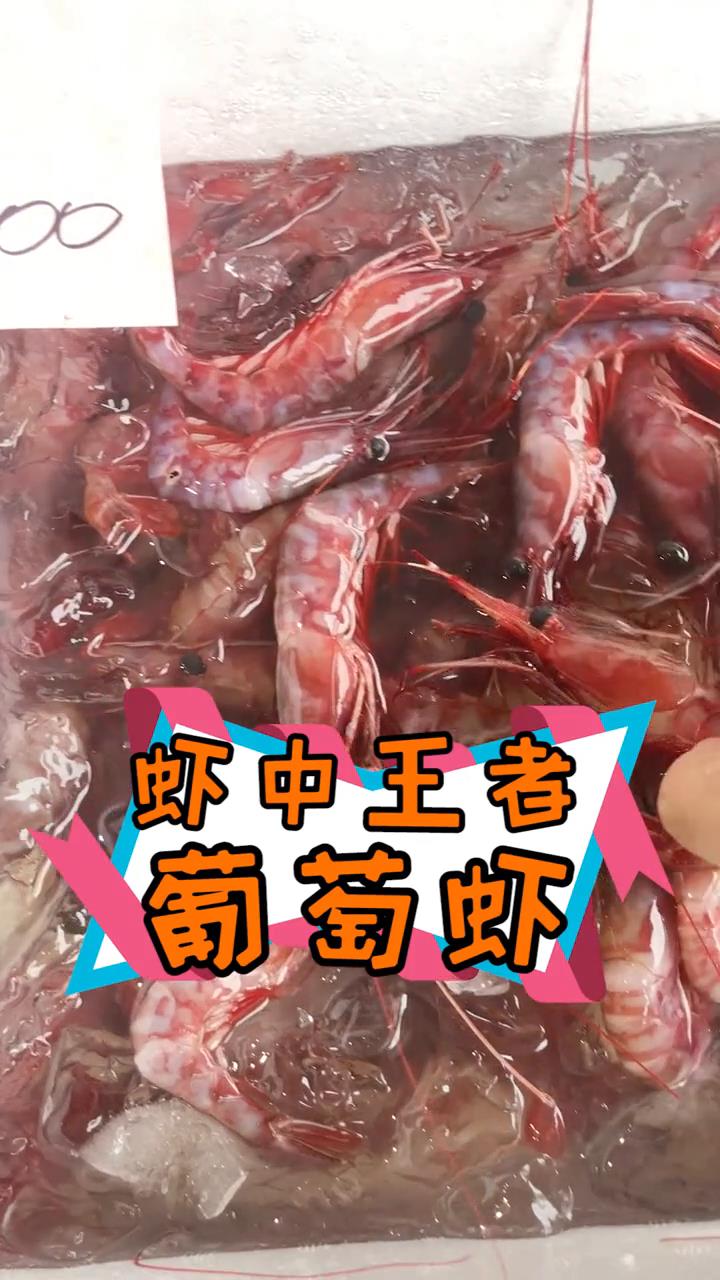 葡萄虾!这个家伙竟然是单价最贵的虾?#葡萄虾 #刺身美食 #