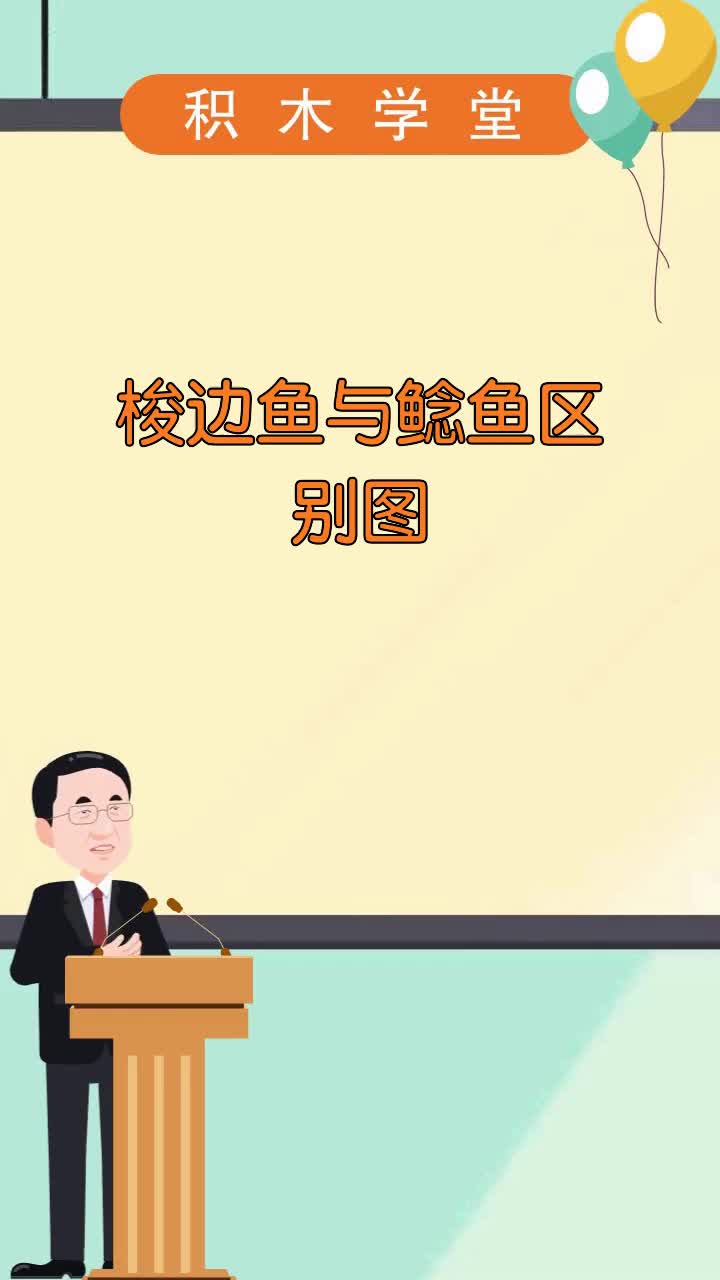 梭边鱼与鲶鱼区别图