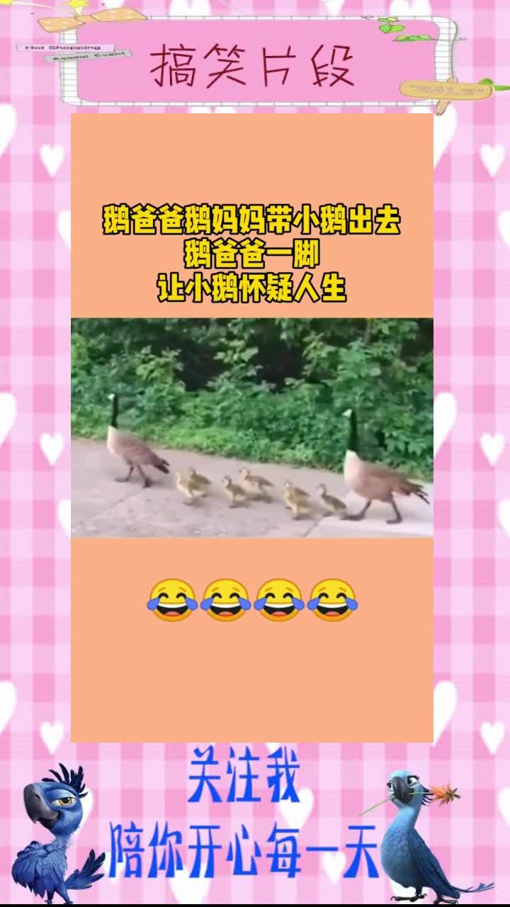 鹅爸爸鹅妈妈带小鹅出去,鹅爸爸一脚,让小鹅怀疑人生,搞笑段子