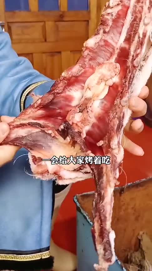 在呼伦贝尔大草原,羊胸口是羊身上最好的一块肉,只给贵宾享用。