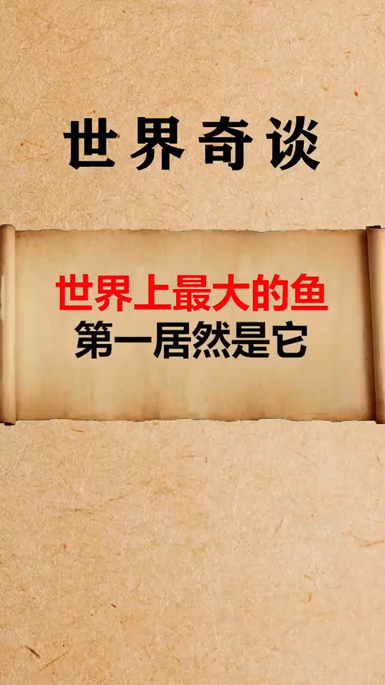 世界上最大的鱼,这一幕,真让人大开眼界